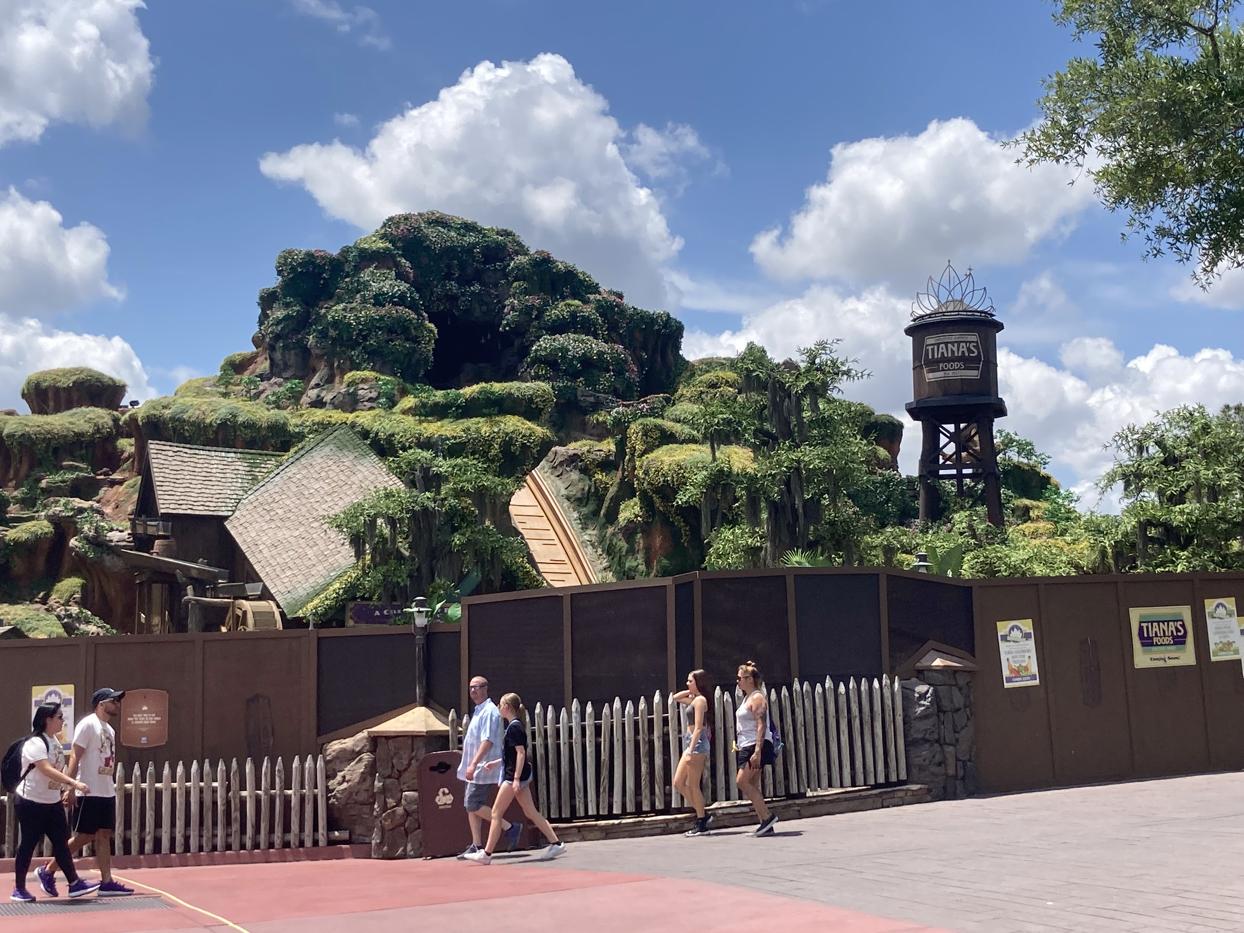 Walt Disney World Magic Kingdom Tiana's Bayou Adventure