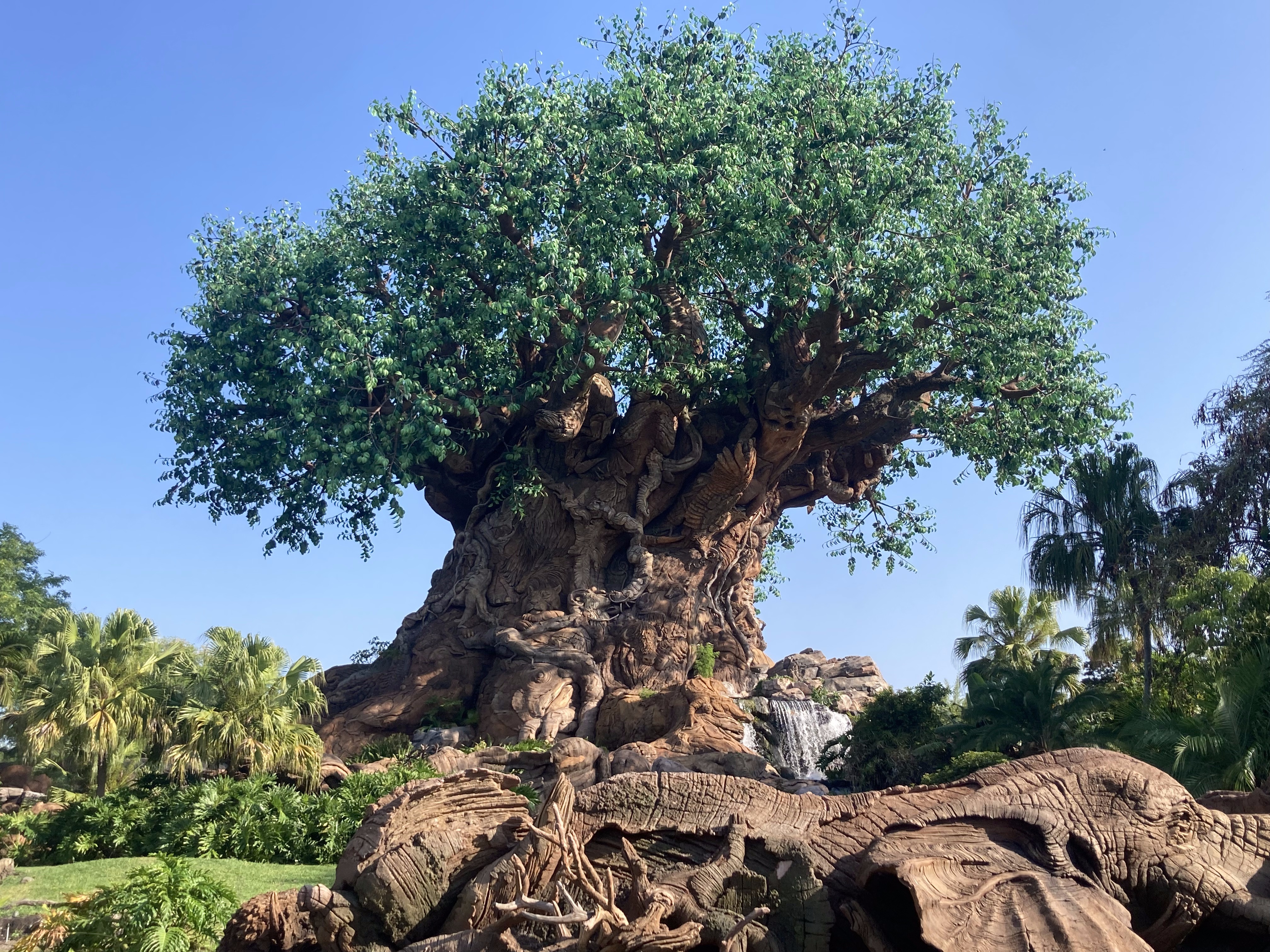 Walt Disney World Animal Kingdom Tree of Life